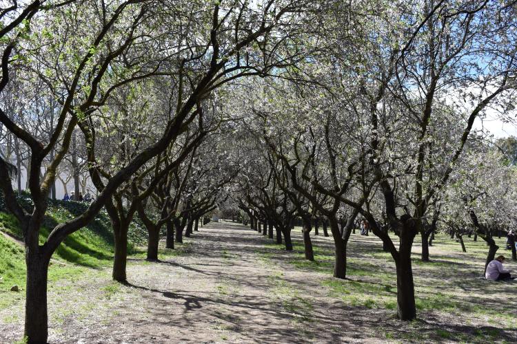 Quinta de los Molinos