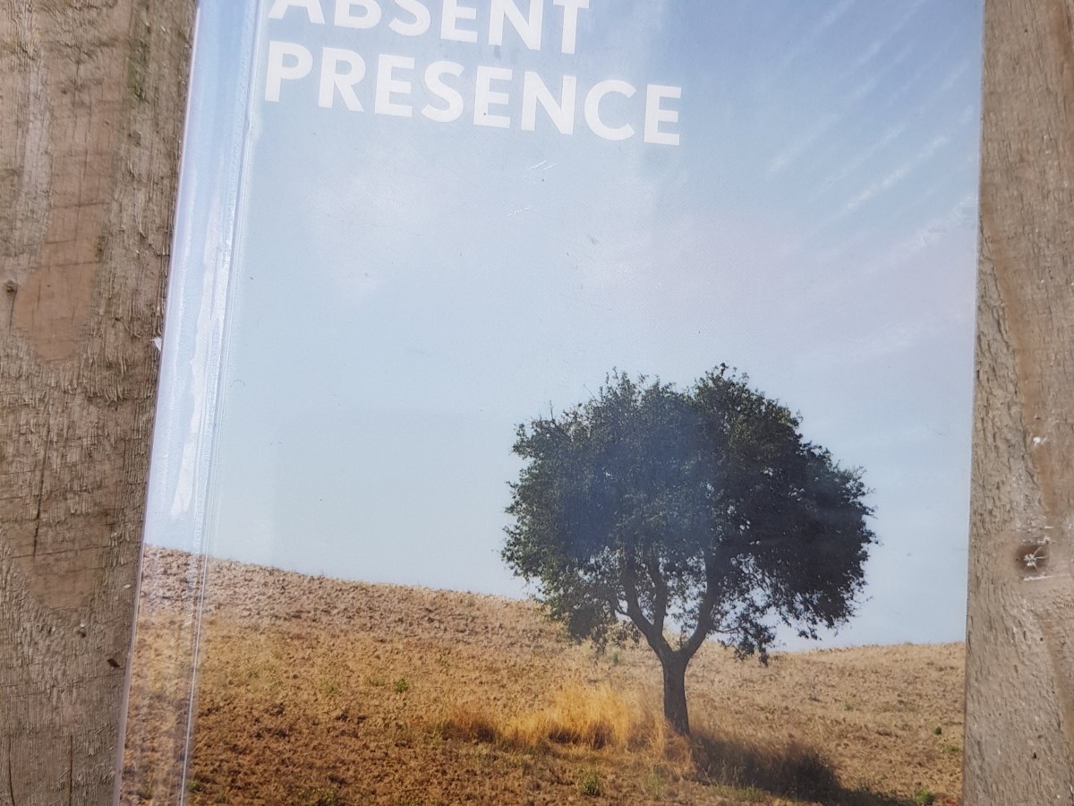 Absent Presence by Mahmoud Darwish – a fascinatingly undefinable piece of&nbsp;beauty