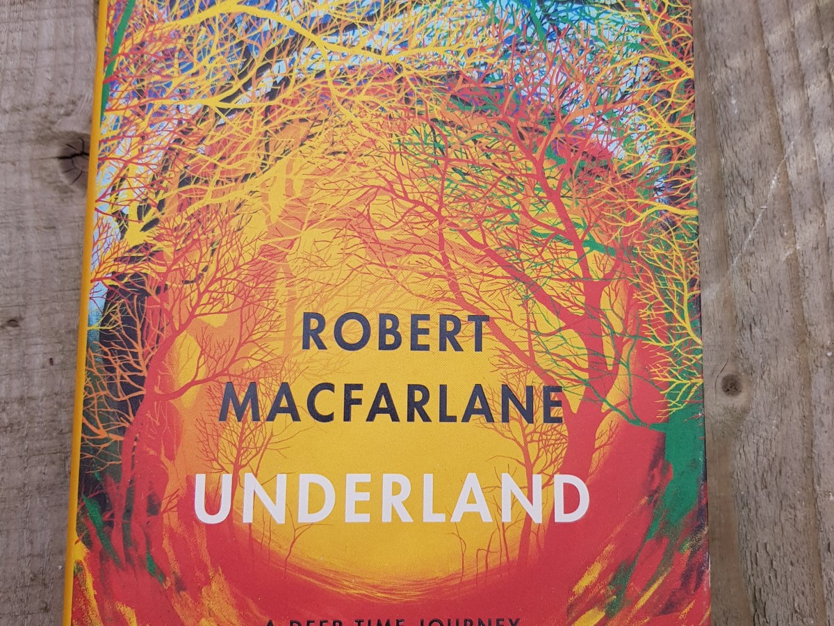 Underland by Robert MacFarlane – a fascinating passage into the&nbsp;underworlds.