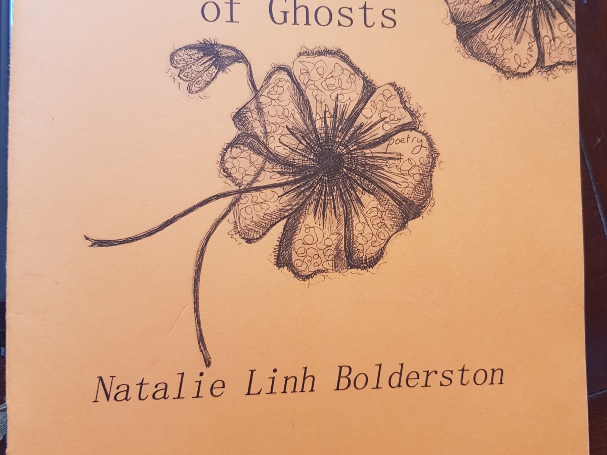 Reviewed: The Protection of Ghosts, Natalie Linh&nbsp;Bolderston