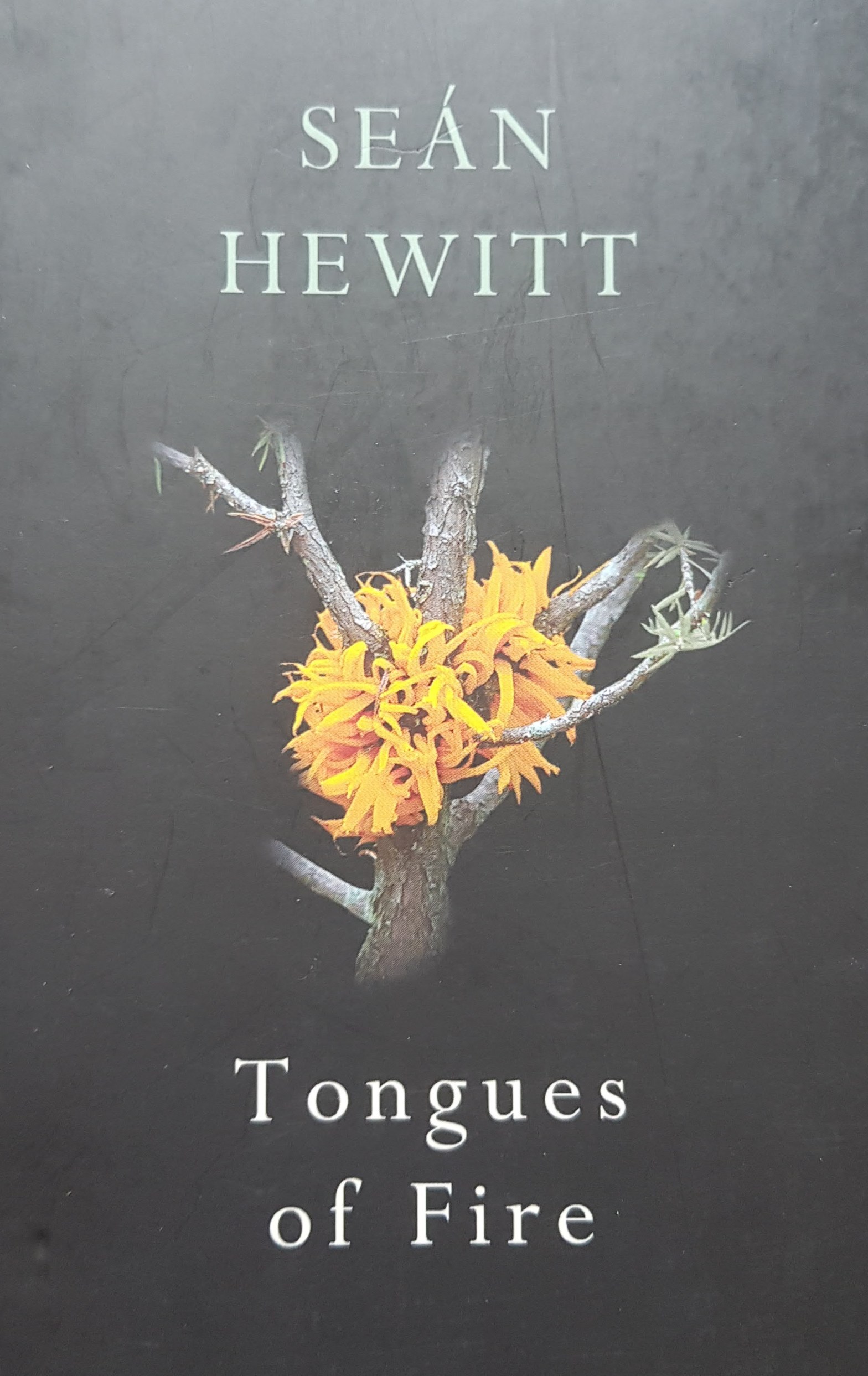 Tongues of Fire Sean Hewitt
